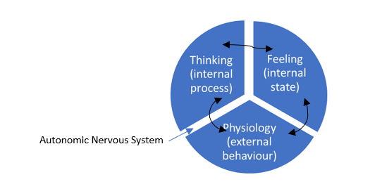 Cybernetic Loop