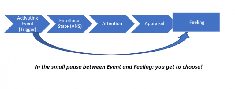 Process Model of Feelings